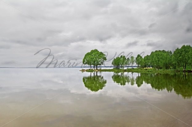 Green trees reflected in the lake surface – Stock photos from around the world