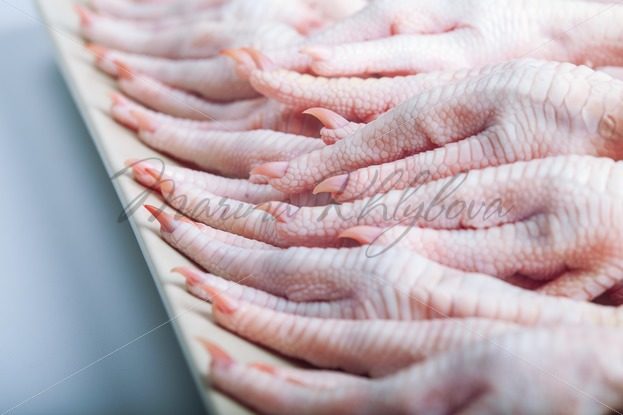 Chicken feet on the plate – Stock photos from around the world